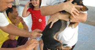 Montes Claros - Campanha de Vacinação Antirrábica será realizada no próximo sábado em Montes Claros