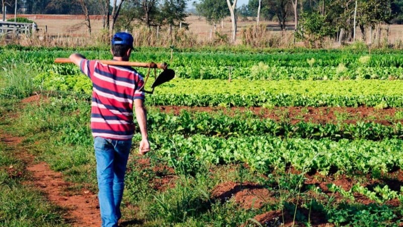 Norte de Minas - Japonvar e Ibiracatu recebem Seminário da Agricultura Familiar