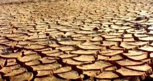 Norte de Minas - Codema discute desertificação do Norte de Minas