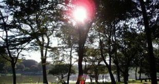 Montes Claros - CODEMA tem nova mesa diretora e cada titular terá dois suplentes