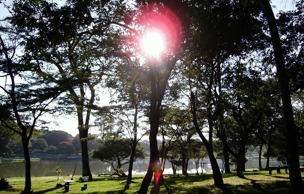 Montes Claros - CODEMA tem nova mesa diretora e cada titular terá dois suplentes