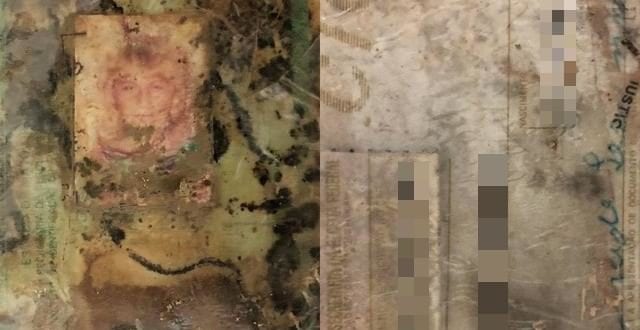 Documentos da vítima foram encontrados juntos a sua ossada, ambos enterrados no banheiro da casa em que ela vivia com marido e filhos