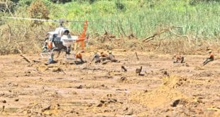 As paredes da barragem a montante são erguidas sobre uma base de resíduos, e não em terra firme