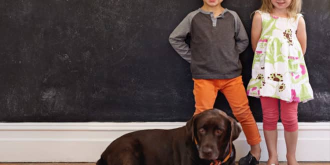 Tem criança em casa? Confira 7 raças de cães que convivem bem com os pequenos