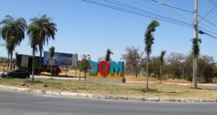 Montes Claros - Palmeiras já embelezam avenida Francisco Gaetani