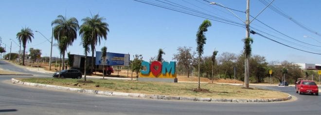 Montes Claros - Palmeiras já embelezam avenida Francisco Gaetani