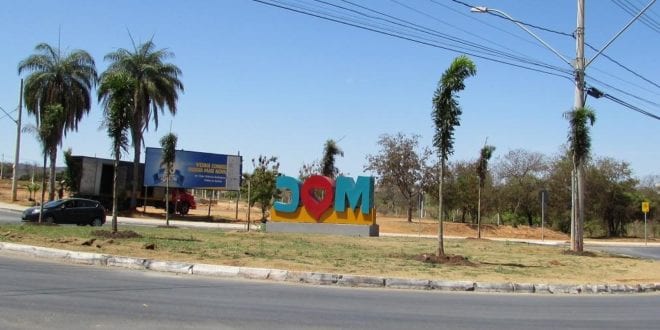 Montes Claros - Palmeiras já embelezam avenida Francisco Gaetani