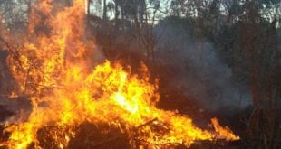 Montes Claros - Incêndio em vegetação em Montes Claros
