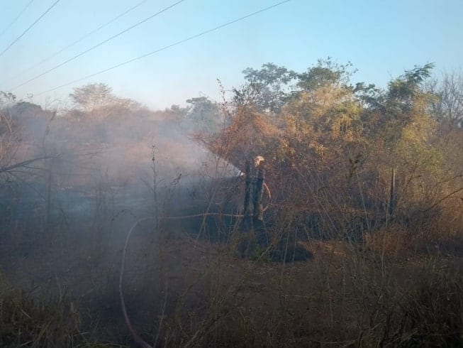 MG - Estado de Minas Gerais tem mais de uma vintena de pontos de combate a incêndios nesta segunda-feira