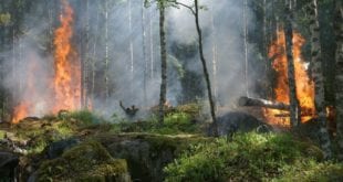 MG - Queimadas em Minas Gerais; Bombeiros atuam para combater chamas em todo o estado
