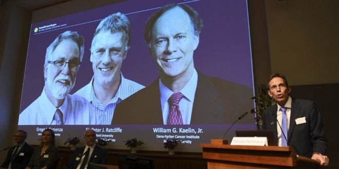 Nobel de Medicina vai para pesquisas sobre como células percebem oxigênio