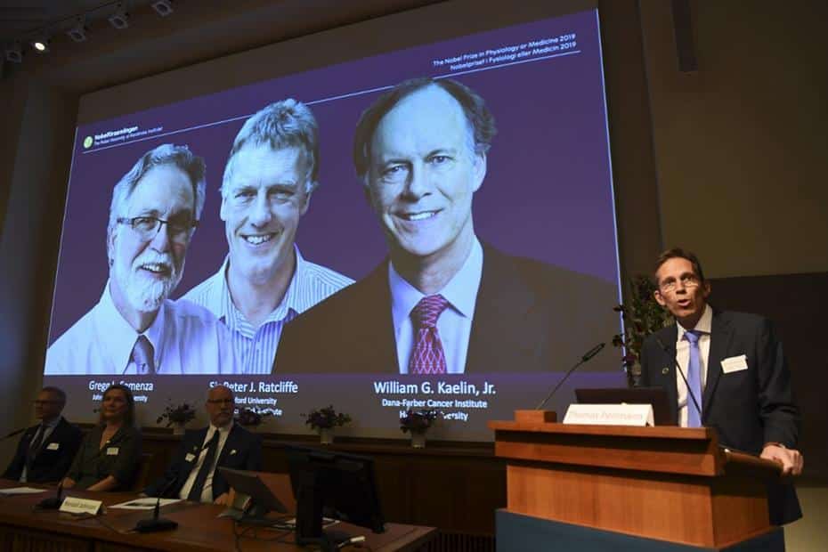 Nobel de Medicina vai para pesquisas sobre como células percebem oxigênio