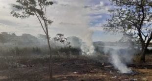 Norte de Minas - Nem área de brejo escapa de incêndio no Norte de Minas