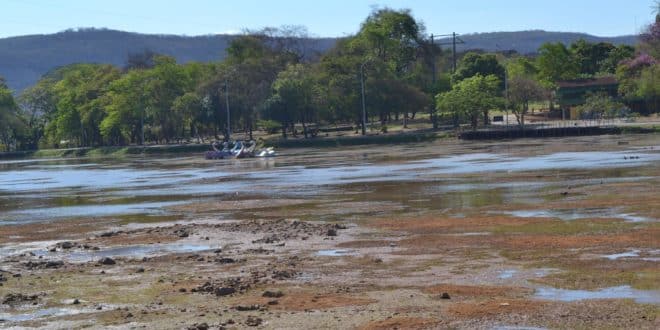 Montes Claros - Lagoa do Parque Municipal Milton Prates é esvaziada para limpeza e remoção de tabuas