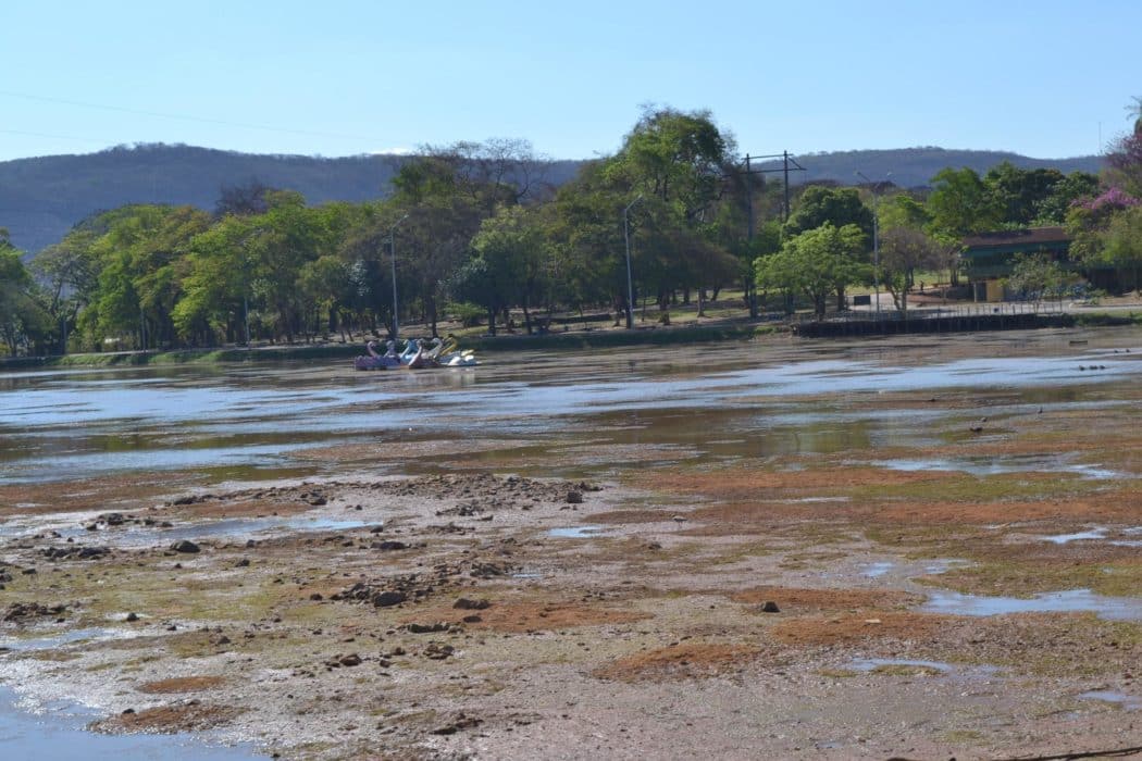 Montes Claros - Lagoa do Parque Municipal Milton Prates é esvaziada para limpeza e remoção de tabuas