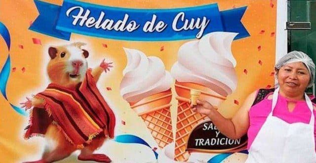 Sorvete de porquinho-da-índia é atração em sorveteria equatoriana