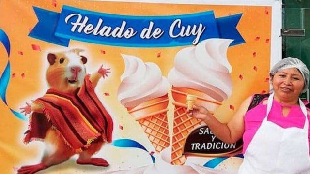 Sorvete de porquinho-da-índia é atração em sorveteria equatoriana