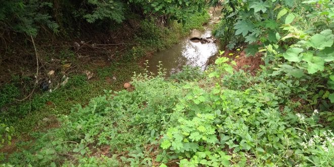 Montes Claros - Prefeitura de Montes Claros vistoria construção de barraginhas e cercamento de nascentes