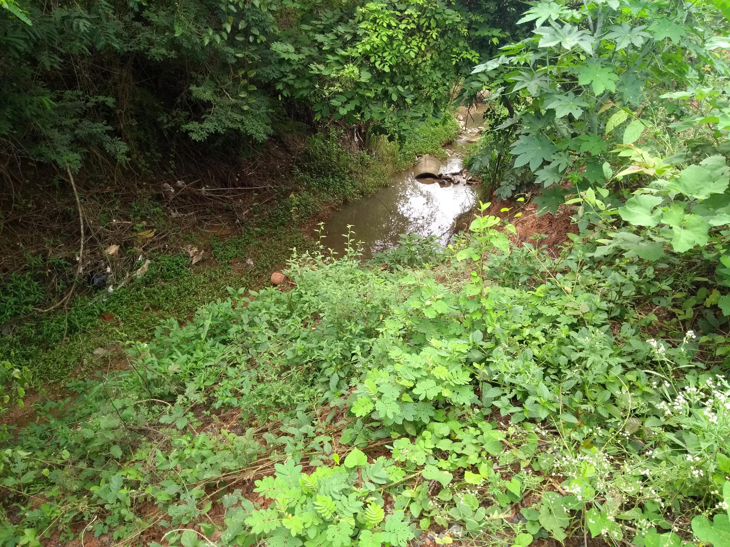 Montes Claros - Prefeitura de Montes Claros vistoria construção de barraginhas e cercamento de nascentes