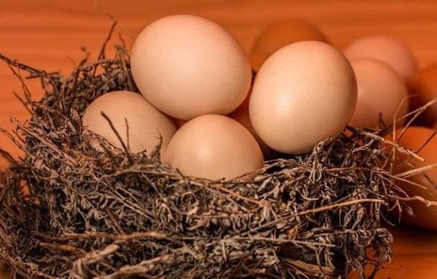 Homem morre após topar desafio de comer 40 ovos