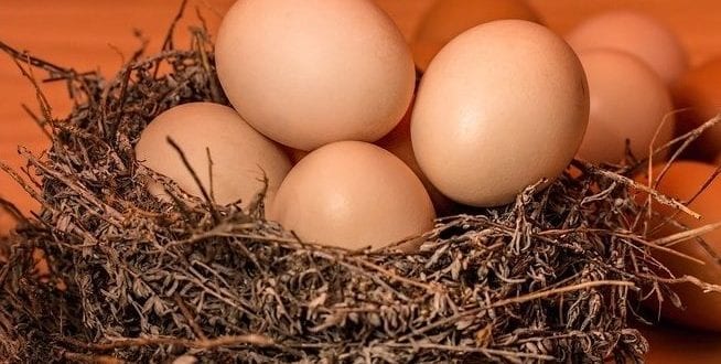 Homem morre após topar desafio de comer 40 ovos