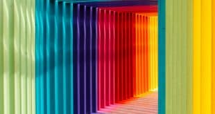 Entenda os efeitos das cores na mente humana