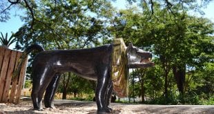 Montes Claros - Obras de arte a céu aberto mudam a paisagem de Montes Claros