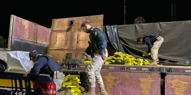 MG - PRF atinge marca histórica de 25 toneladas de drogas apreendidas no ano