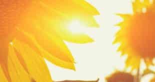 Saúde - Você precisa repor a vitamina D? Especialista mostra como se expor ao sol sem riscos