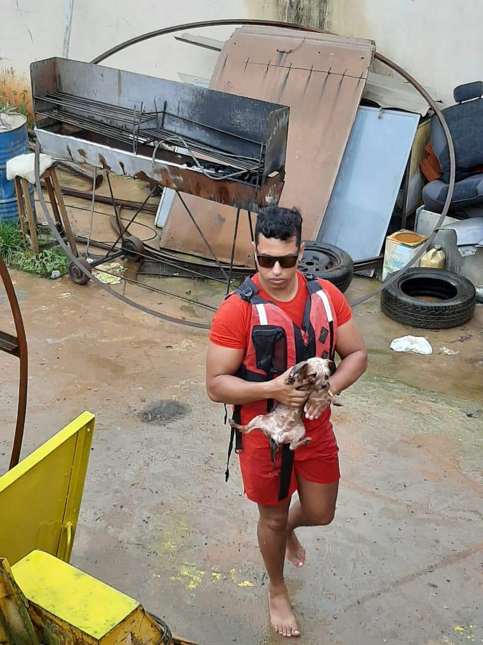 Montes Claros - Bombeiros resgatam dois filhotes de cachorro que estavam se afogando numa piscina de uma casa