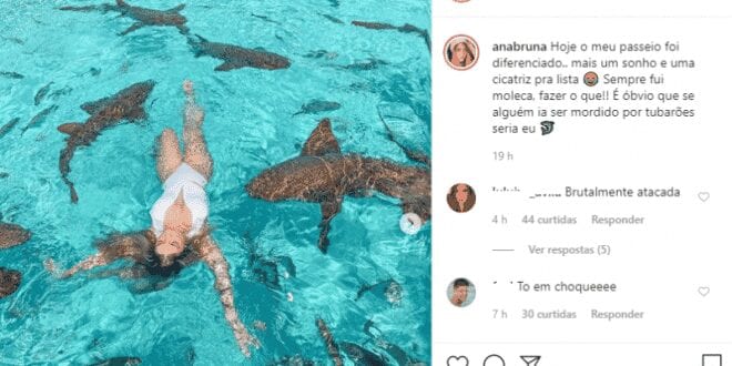 Blogueira brasileira leva mordida de tubarão nas Bahamas