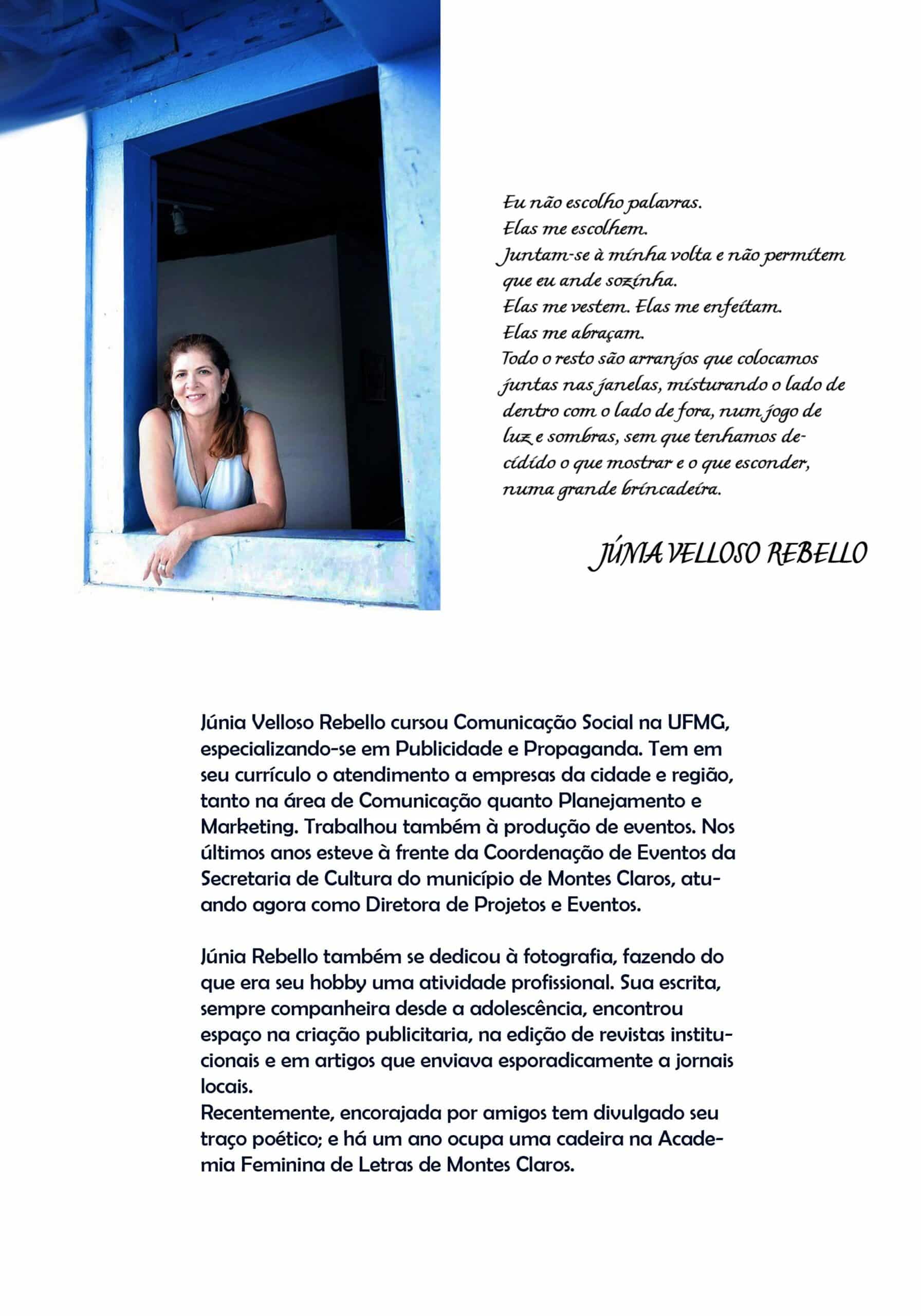 Montes Claros - Júnia Velloso Rebello expõe sua arte no Painel Permanente de Poesia