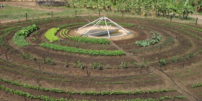 Horta circular. Foto Kellson Tolentino