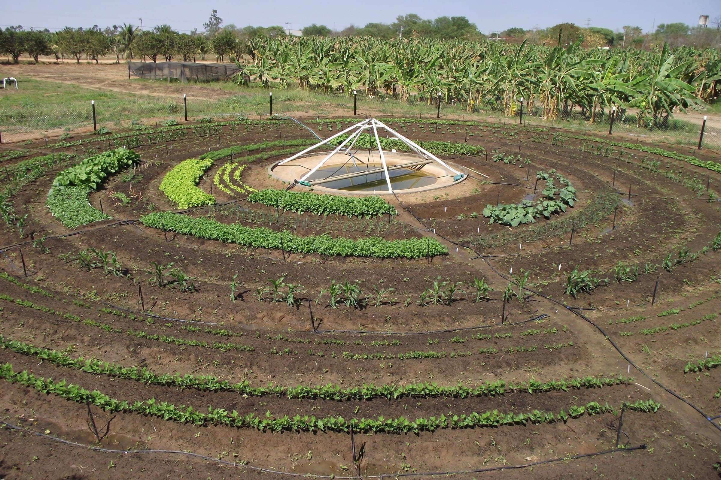 Horta circular. Foto Kellson Tolentino