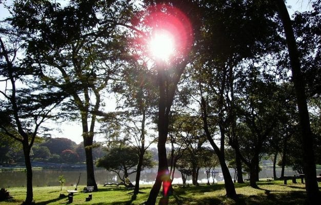 Montes Claros - Festa do Pequi terá programação especial nos Parques de Montes Claros