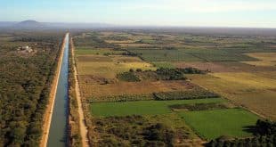 Norte de Minas - TJMG atua na regularização de terrenos do projeto Jaíba