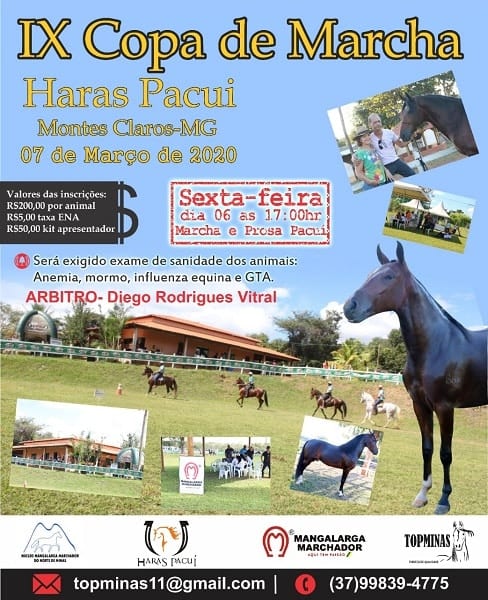 Montes Claros - Copa de Marcha do Mangalarga Marchador começa neste sábado