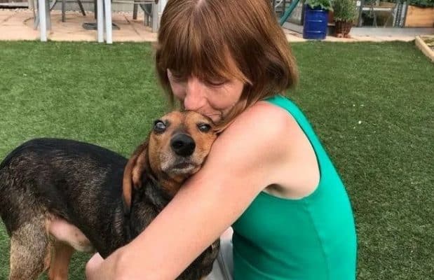 Cachorro adotado ajuda dona a descobrir câncer de mama