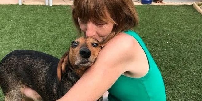 Cachorro adotado ajuda dona a descobrir câncer de mama