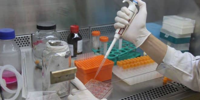Fiocruz divulga possível eficácia de medicamento contra covid-19