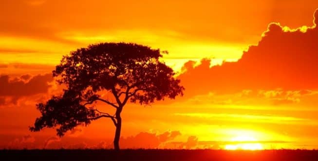 Expectativa era de que o calor poderia abrandar a propagação da Covid-19