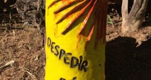 Montes Claros - Parque Sagarana ganha obras de Felicidade Patrocínio