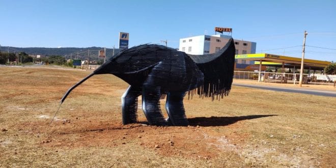 Montes Claros - No dia do Meio Ambiente a Prefeitura de Montes Claros vai inaugurar escultura de tamanduá-bandeira