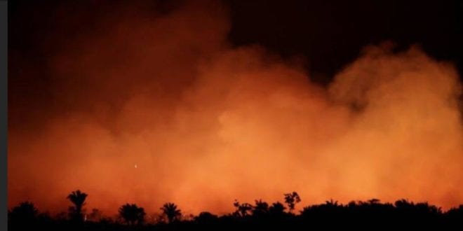 MG - Cemig e UFMG se unem na luta contra queimadas e lançam site de monitoramento