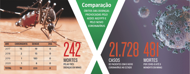 MG - Coronavírus já matou mais que o Aedes aegypti em 4 anos em Minas Gerais