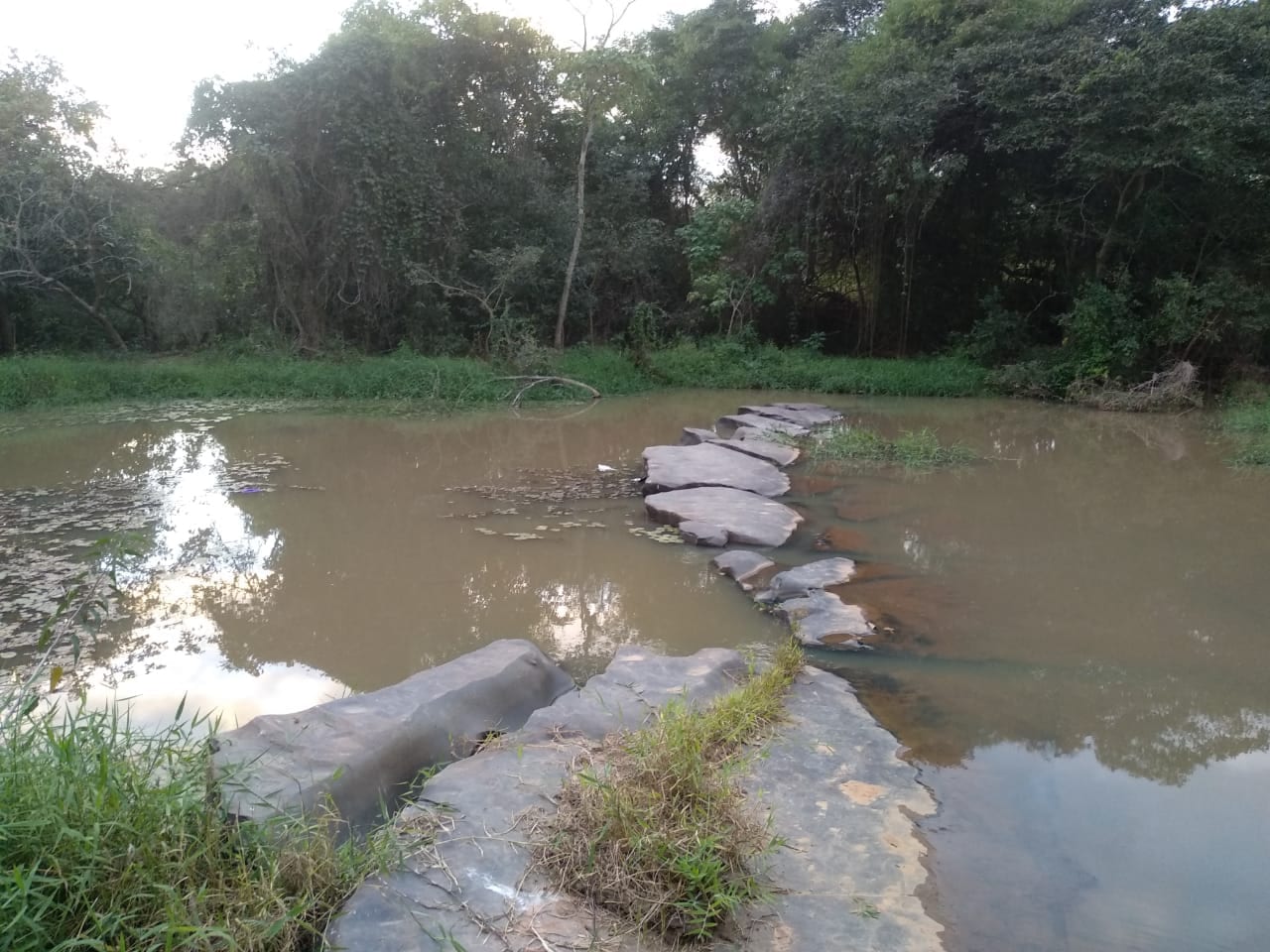 Norte de Minas - Bombeiros atendem ocorrência de afogamento em Salinas