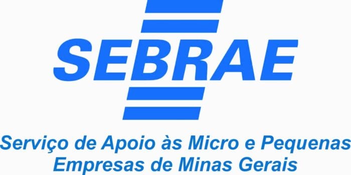 Norte de Minas - Programa Agente Local de Inovação em Tempos de Crise fortalece gestão de pequenos negócios em Pirapora
