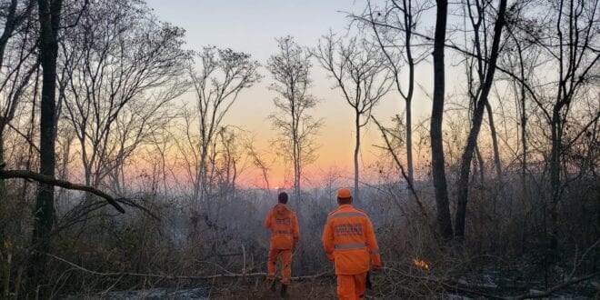 Montes Claros - Bombeiros combatem incêndios na Serra do Mel pelo quarto dia