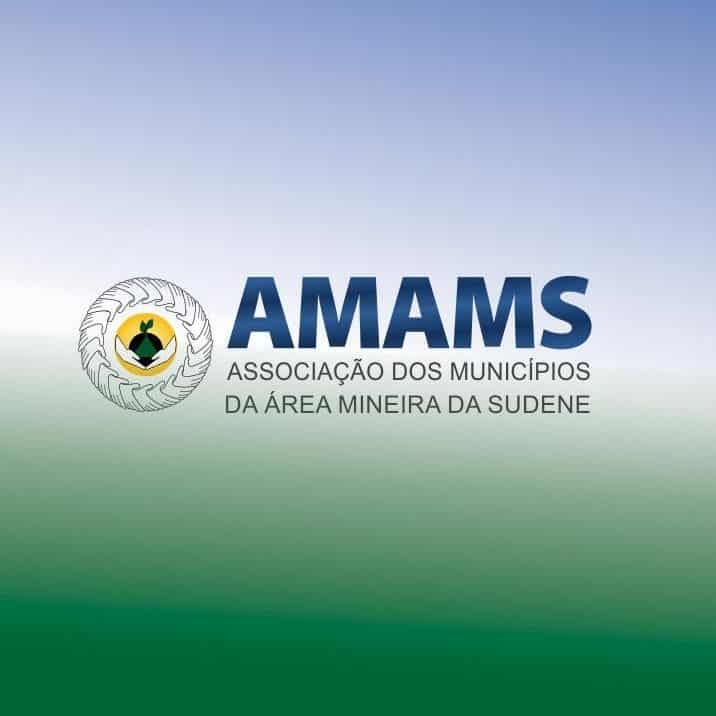 Norte de Minas - Amams pede ajuda do MP para atender famílias vulneráveis depois da pandemia