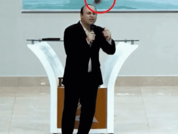 Novo convertido: gato invade igreja e entra em piscina de batismo
